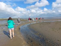 Im Pril gibt es Leben