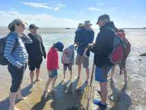 Besuch_der_Meeresbewohner