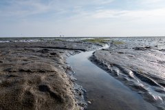Das_Watt
