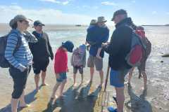 Besuch_der_Meeresbewohner